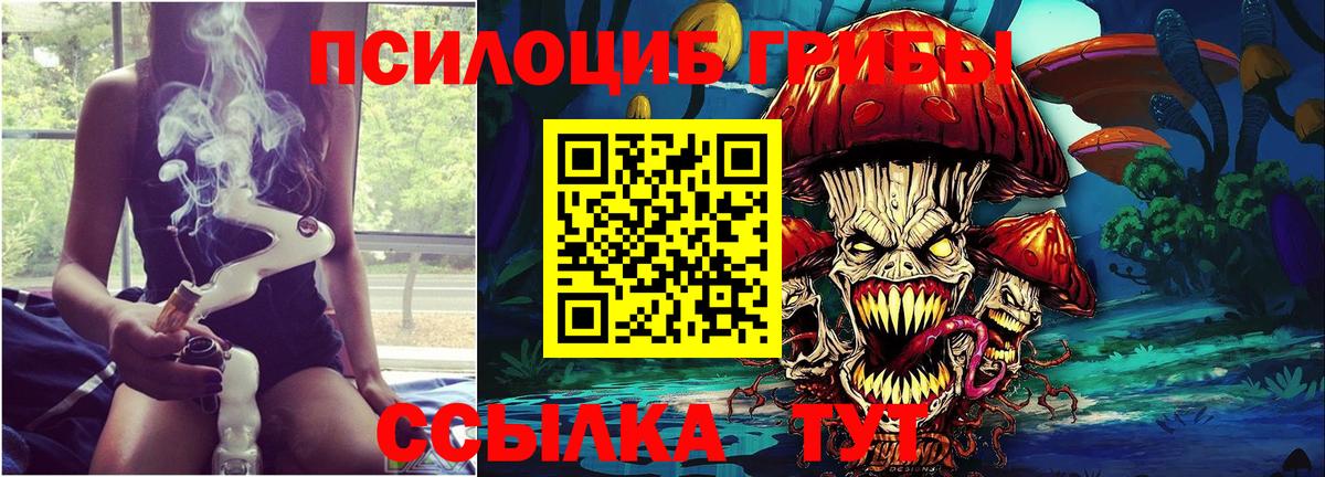 Псилоцибиновые грибы прущие грибы Артёмовский